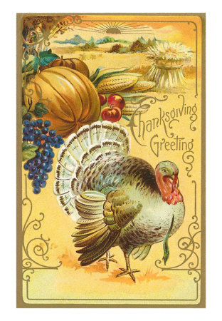 We will be closed for Thanksgiving - Have a Safe and Happy Holiday